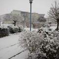 First Snow 2012a